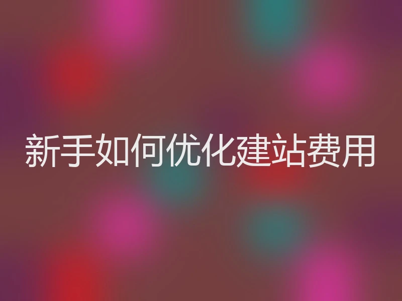 新手如何优化建站费用