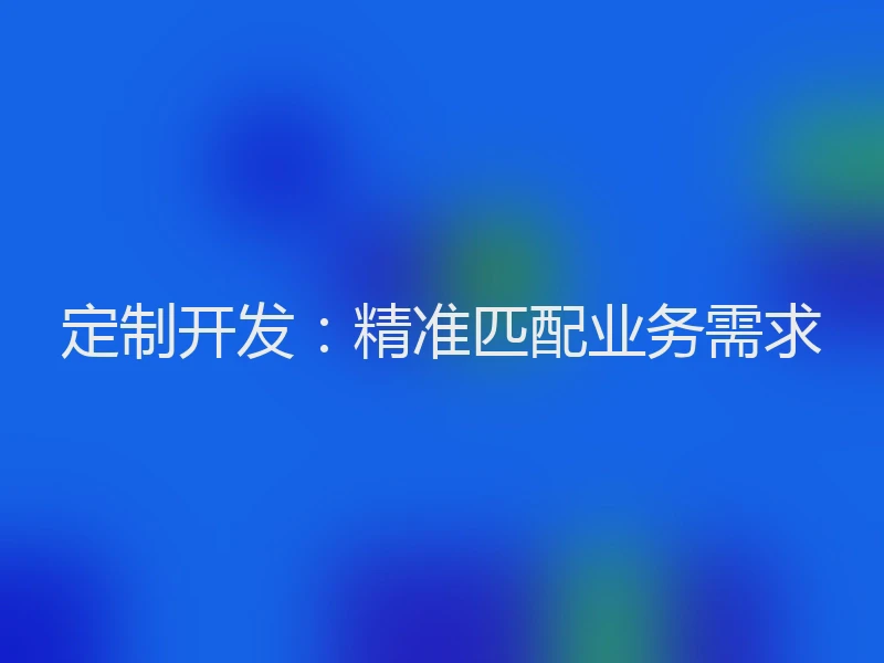 定制开发:精准匹配业务需求