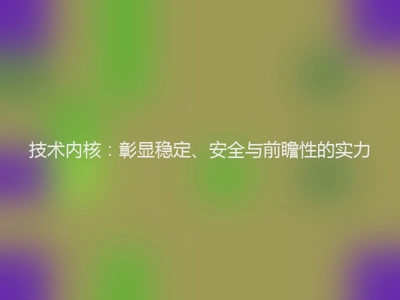 技术内核:彰显稳定、安全与前瞻性的实力