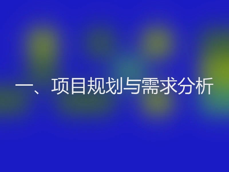 一、项目规划与需求分析