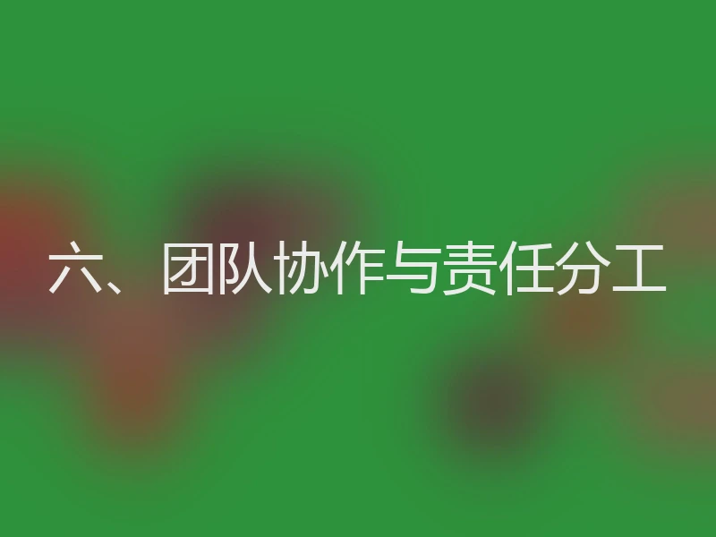 六、团队协作与责任分工