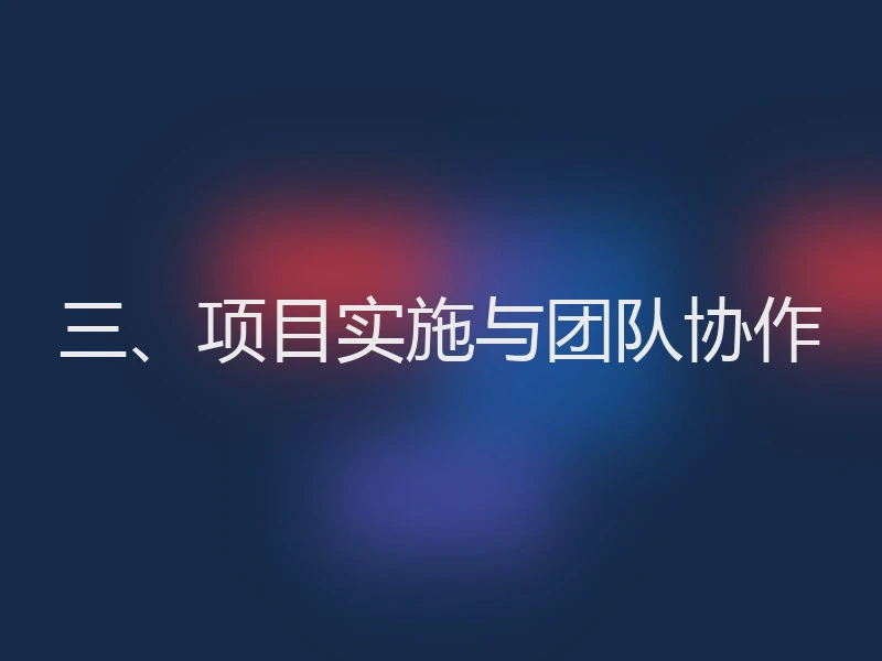 三、项目实施与团队协作
