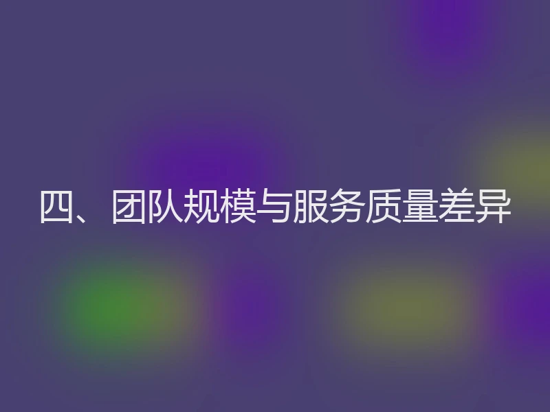 四、团队规模与服务质量差异