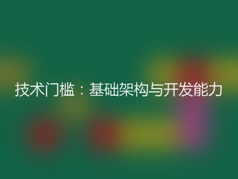 技术门槛：基础架构与开发能力