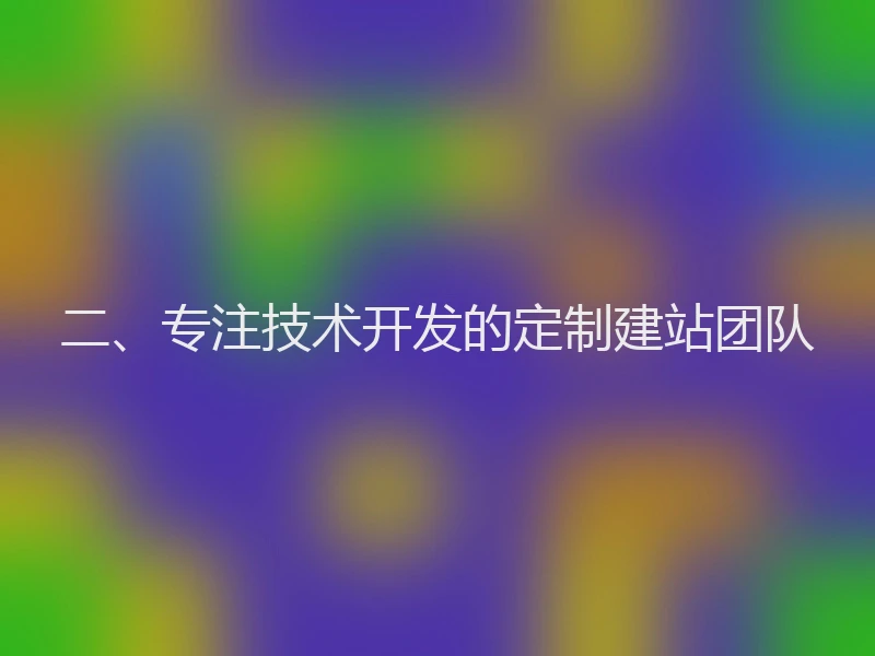 二、专注技术开发的定制建站团队