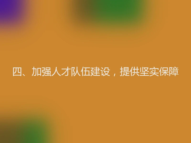 四、加强人才队伍建设,提供坚实保障