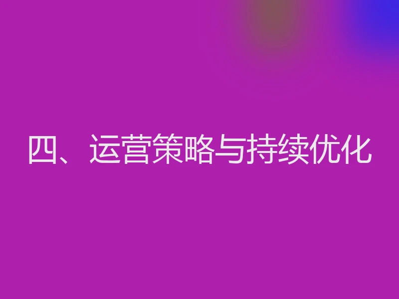 四、运营策略与持续优化