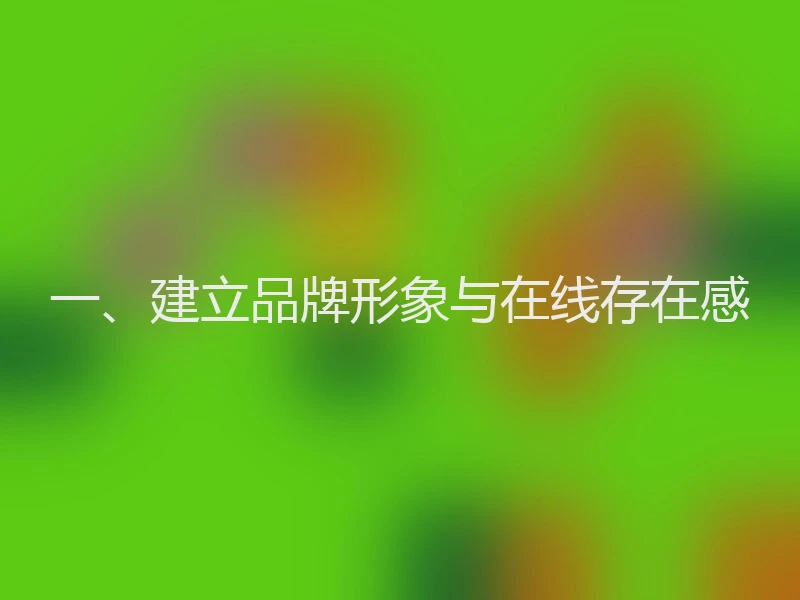 一、建立品牌形象与在线存在感