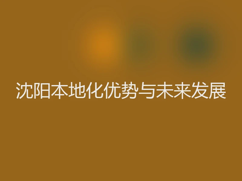 沈阳本地化优势与未来发展