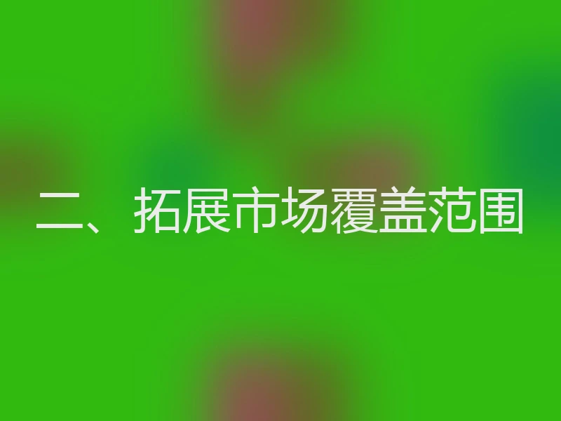 二、拓展市场覆盖范围