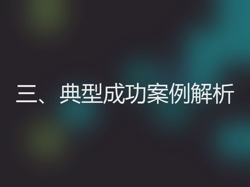 三、典型成功案例解析