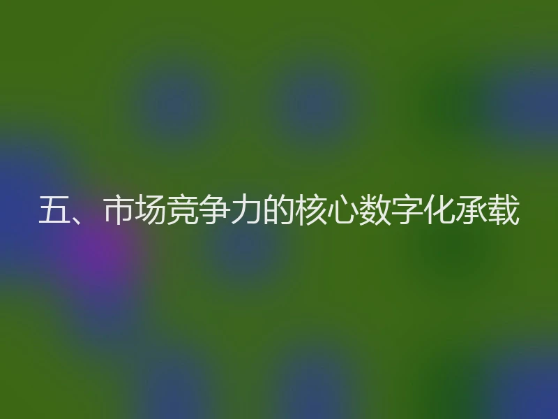 五、市场竞争力的核心数字化承载