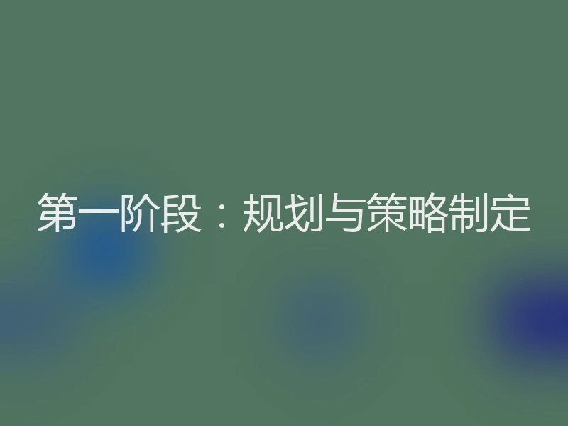 第一阶段：规划与策略制定