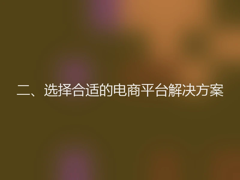 二、选择合适的电商平台解决方案