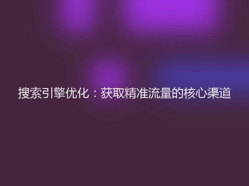 搜索引擎优化：获取精准流量的核心渠道