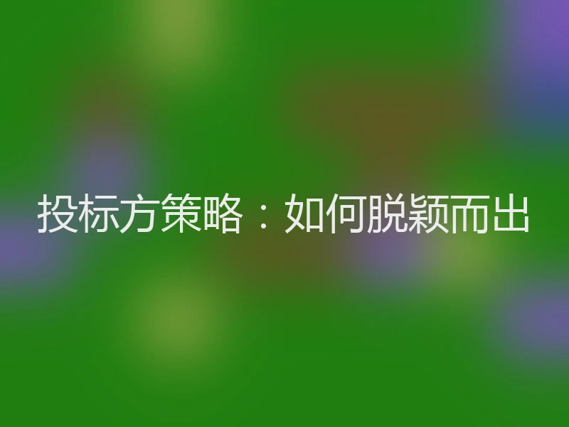 投标方策略：如何脱颖而出