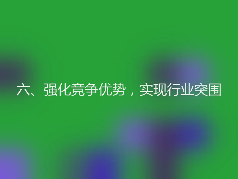 六、强化竞争优势，实现行业突围