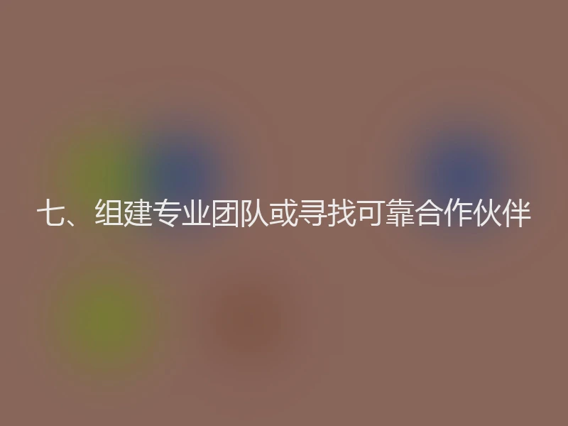 七、组建专业团队或寻找可靠合作伙伴