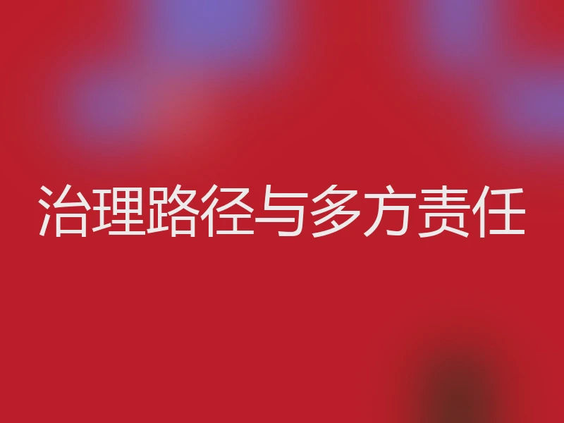治理路径与多方责任