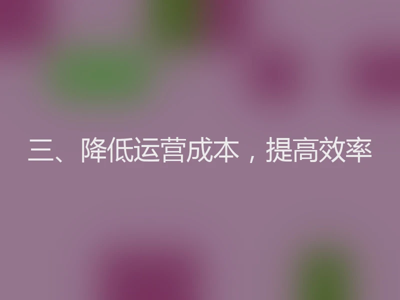 三、降低运营成本，提高效率