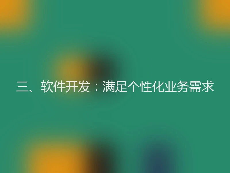 三、软件开发：满足个性化业务需求