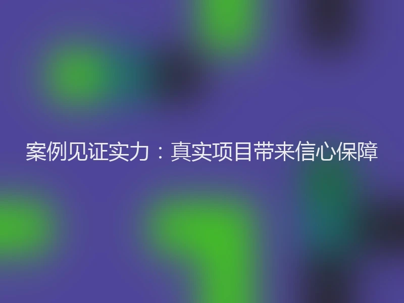 案例见证实力：真实项目带来信心保障