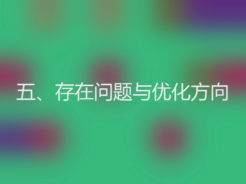 五、存在问题与优化方向