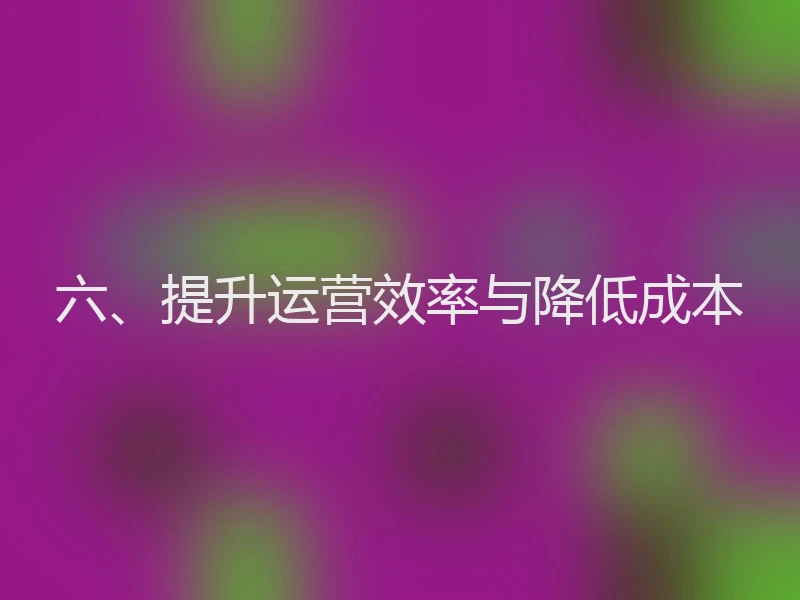 六、提升运营效率与降低成本