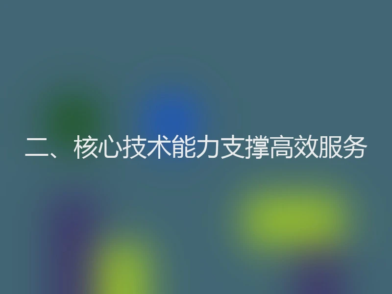 二、核心技术能力支撑高效服务