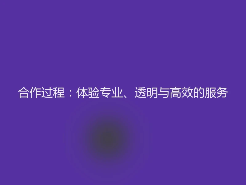 合作过程:体验专业、透明与高效的服务