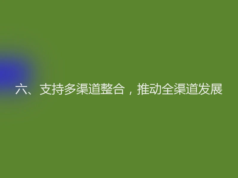 六、支持多渠道整合,推动全渠道发展