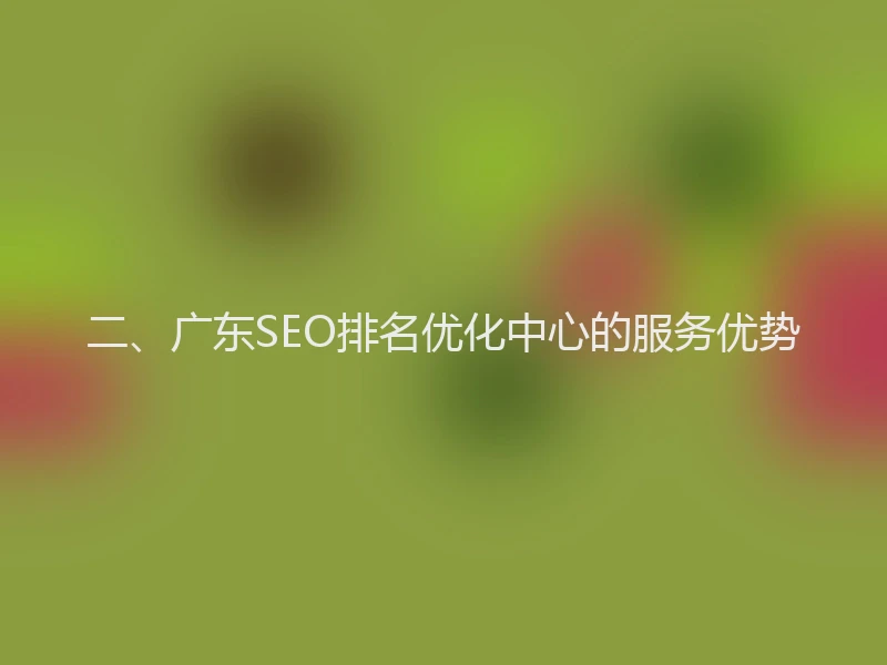 二、广东SEO排名优化中心的服务优势