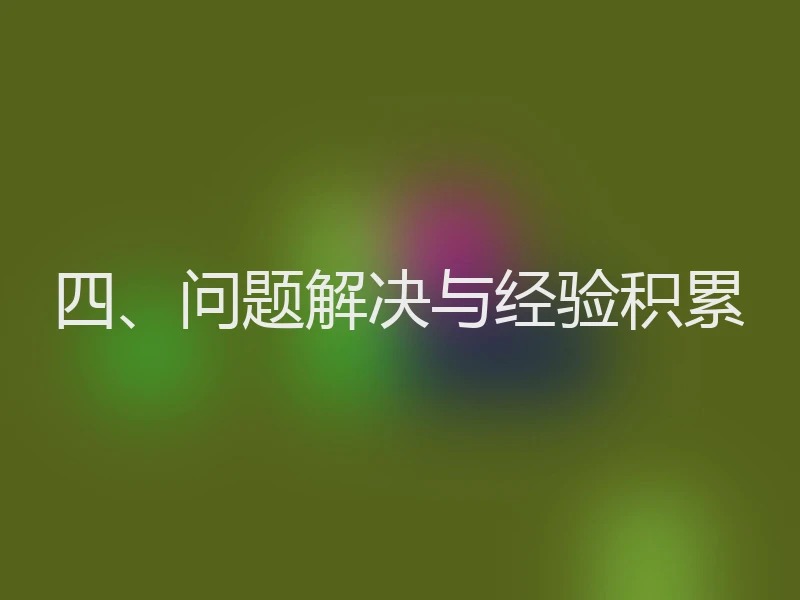 四、问题解决与经验积累