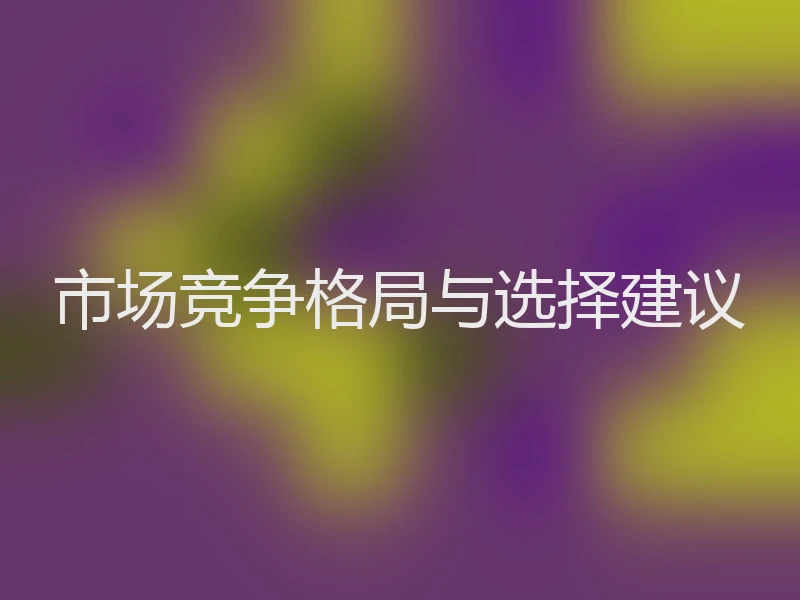 市场竞争格局与选择建议