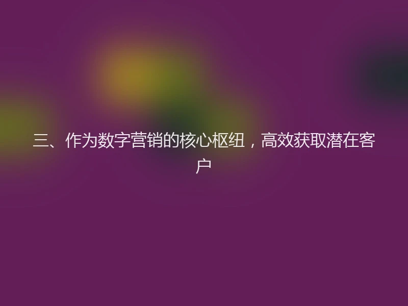 三、作为数字营销的核心枢纽，高效获取潜在客户