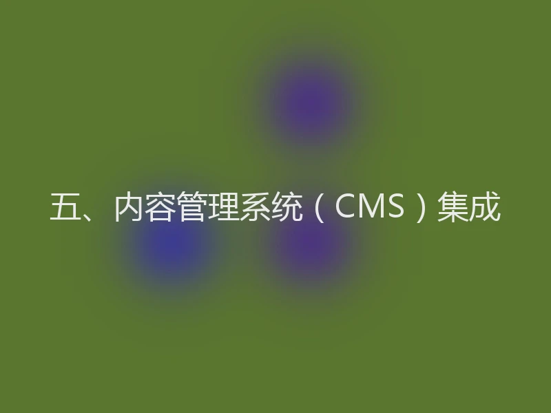 五、内容管理系统（CMS）集成