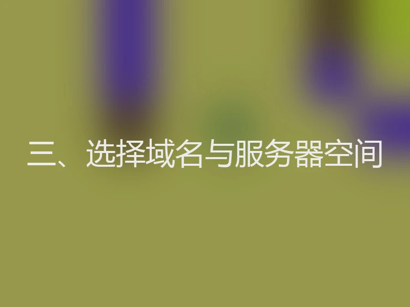 三、选择域名与服务器空间