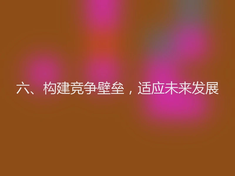 六、构建竞争壁垒，适应未来发展