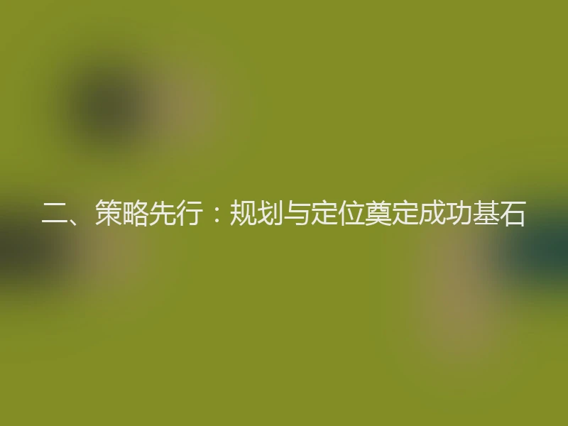 二、策略先行：规划与定位奠定成功基石
