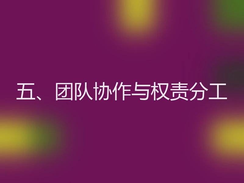 五、团队协作与权责分工