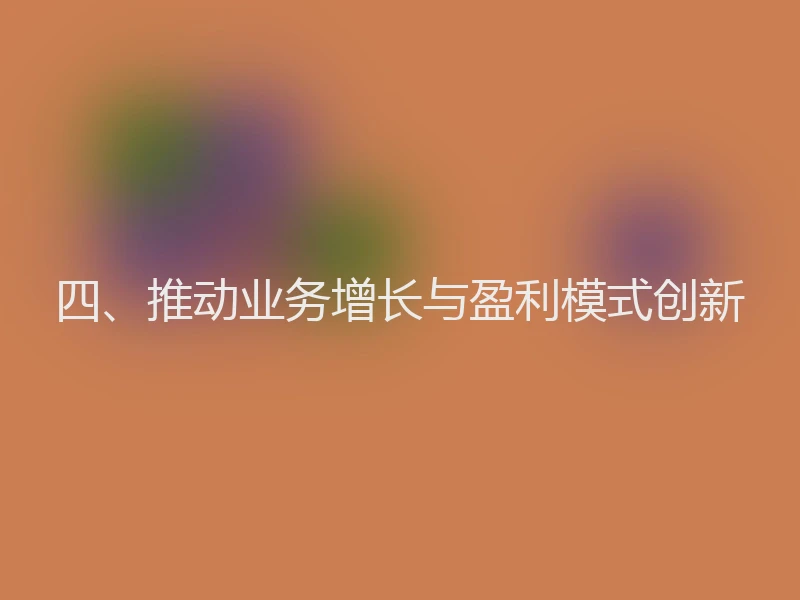 四、推动业务增长与盈利模式创新