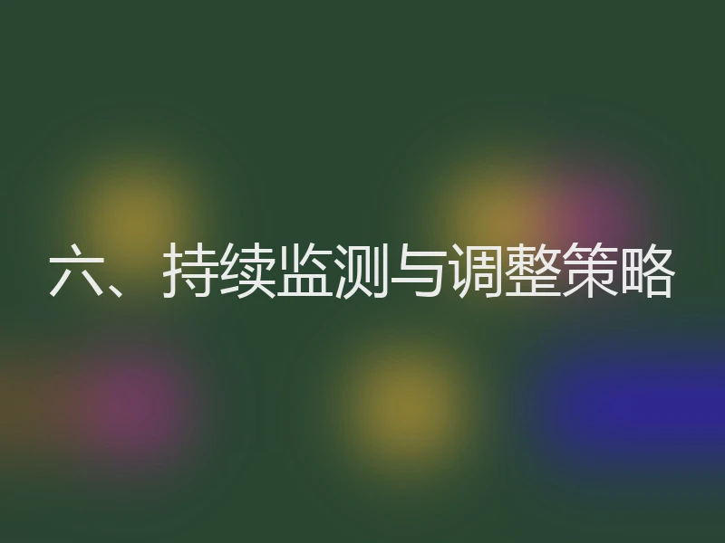 六、持续监测与调整策略