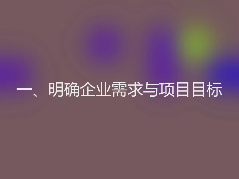一、明确企业需求与项目目标