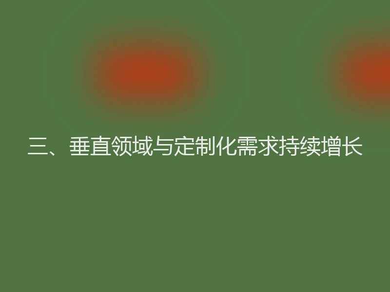 三、垂直领域与定制化需求持续增长