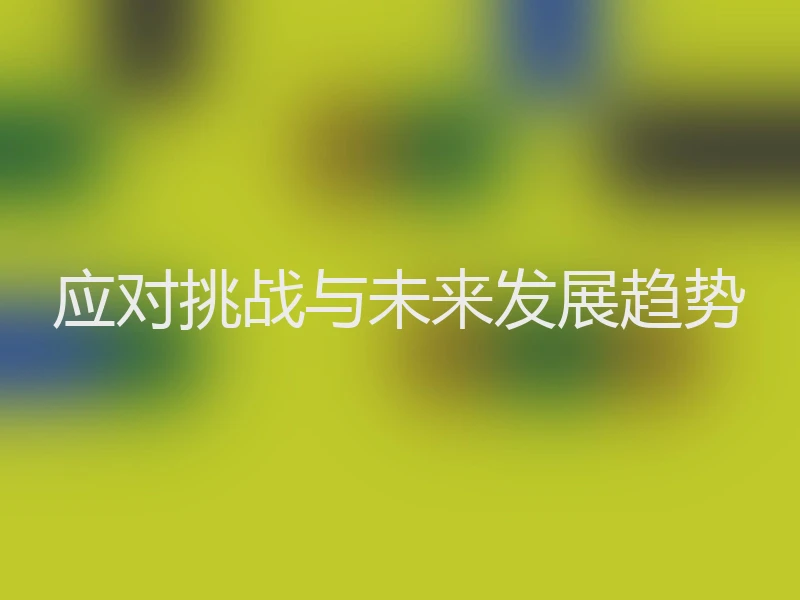 应对挑战与未来发展趋势
