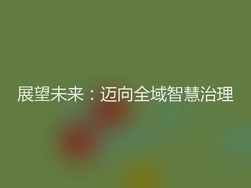 展望未来：迈向全域智慧治理