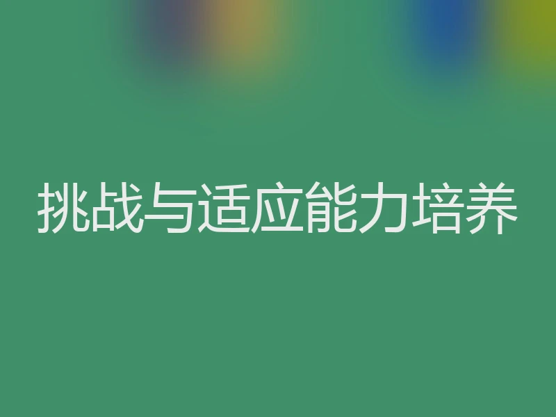 挑战与适应能力培养