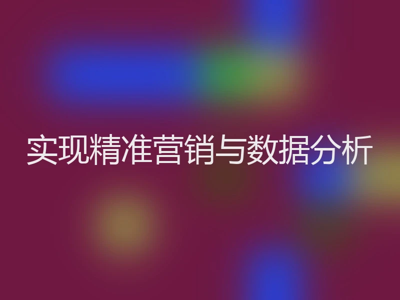 实现精准营销与数据分析