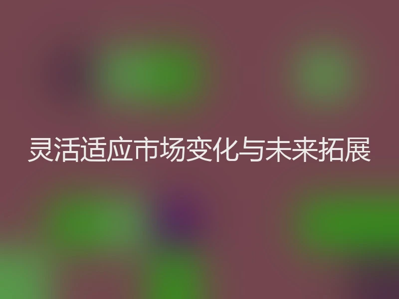 灵活适应市场变化与未来拓展