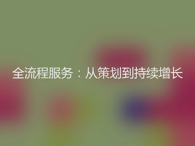 全流程服务：从策划到持续增长